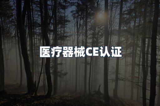 口罩防护类系列CE认证